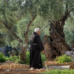 الجسمانية هو حديقة على سفح جبل الزيتون في القدس الأكثر شهرة كمكان وفقا للأناجيل
