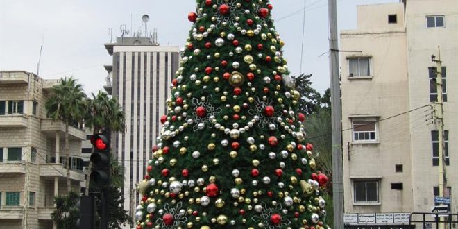 بلدية صيدا رفعت الشجرة الميلادية في ساحة إيليا