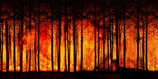 رئة الأرض تحترق والبابا فرنسيس يدعو العالم إلى التحرّك