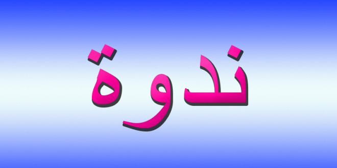 درباس ومسوح في ندوة عنوانها “ماذا حل بالمشرق العربي”